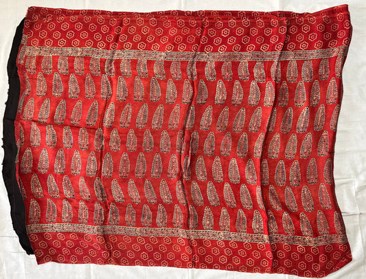 Sanjeevani